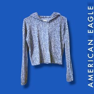 American Eagle Plush Cropped Hoodie